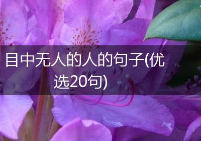 目中无人的人的句子(优选20句)