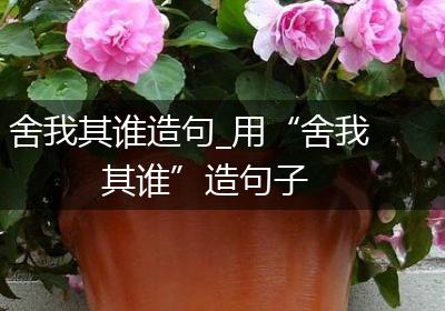 舍我其谁造句_用“舍我其谁”造句子