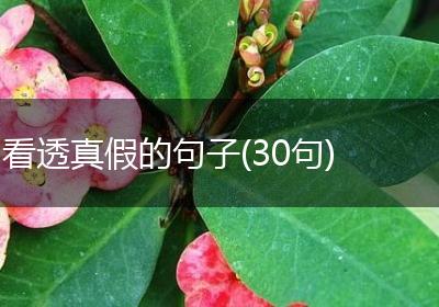 看透真假的句子(30句)