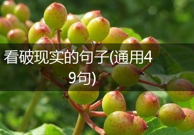 看破现实的句子(通用49句)