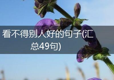 看不得别人好的句子(汇总49句)