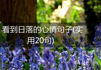 看到日落的心情句子(实用20句)