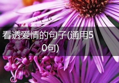 看透爱情的句子(通用50句)