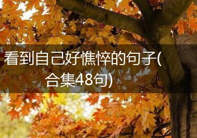 看到自己好憔悴的句子(合集48句)