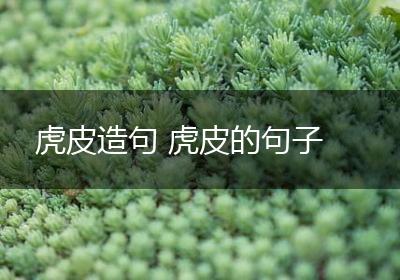 虎皮造句 虎皮的句子