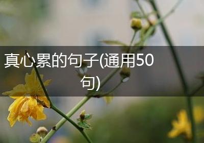 真心累的句子(通用50句)