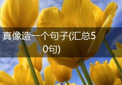 真像造一个句子(汇总50句)
