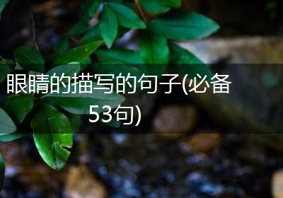 眼睛的描写的句子(必备53句)
