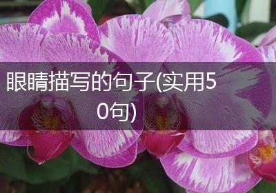 眼睛描写的句子(实用50句)