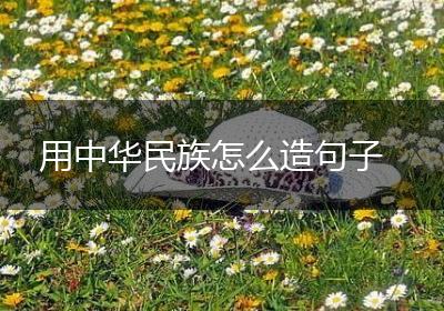 用中华民族怎么造句子