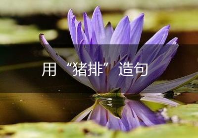 用“猪排”造句