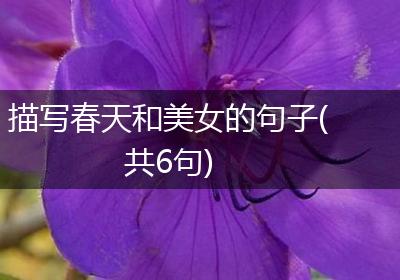 描写春天和美女的句子(共6句)