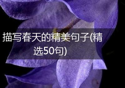 描写春天的精美句子(精选50句)
