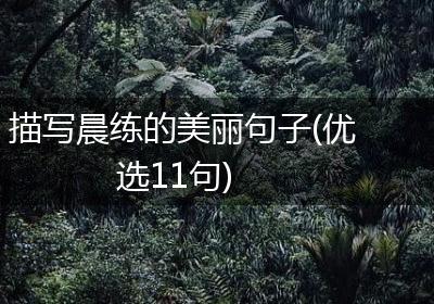 描写晨练的美丽句子(优选11句)