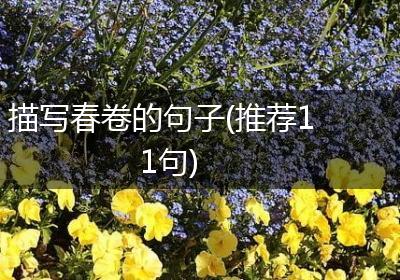 描写春卷的句子(推荐11句)