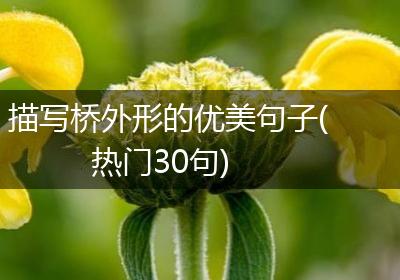 描写桥外形的优美句子(热门30句)