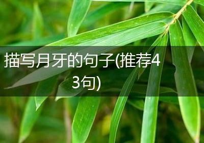 描写月牙的句子(推荐43句)