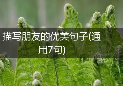 描写朋友的优美句子(通用7句)