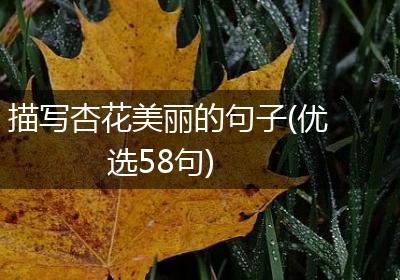 描写杏花美丽的句子(优选58句)
