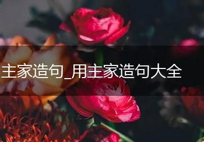 主家造句_用主家造句大全