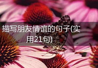 描写朋友情谊的句子(实用21句)