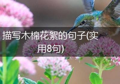 描写木棉花絮的句子(实用8句)
