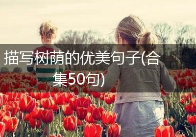 描写树荫的优美句子(合集50句)