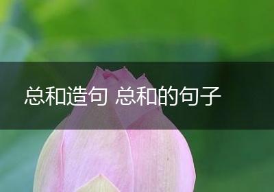 总和造句 总和的句子