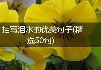 描写泪水的优美句子(精选50句)