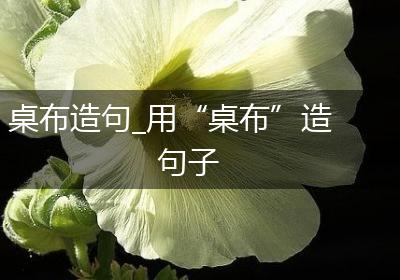 桌布造句_用“桌布”造句子