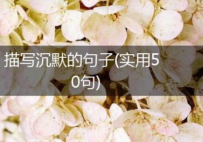 描写沉默的句子(实用50句)