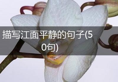 描写江面平静的句子(50句)