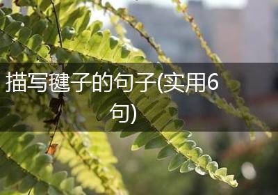 描写毽子的句子(实用6句)