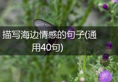 描写海边情感的句子(通用40句)