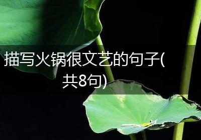 描写火锅很文艺的句子(共8句)