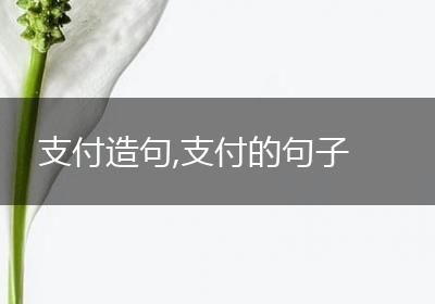 支付造句,支付的句子