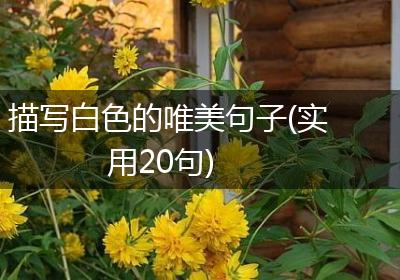 描写白色的唯美句子(实用20句)