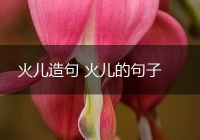 火儿造句 火儿的句子