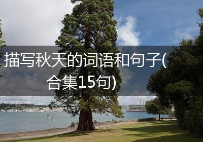 描写秋天的词语和句子(合集15句)