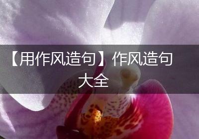 【用作风造句】作风造句大全