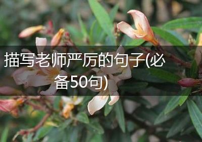 描写老师严厉的句子(必备50句)