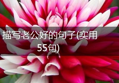 描写老公好的句子(实用55句)