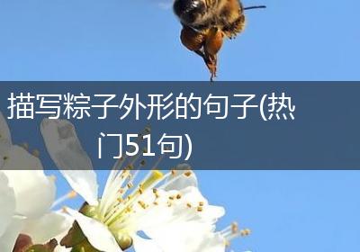 描写粽子外形的句子(热门51句)