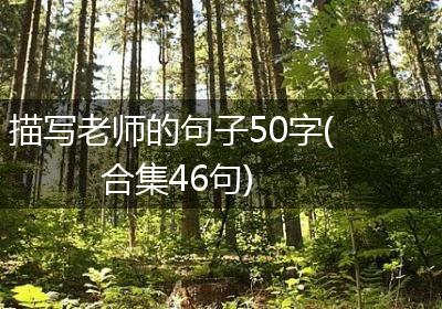 描写老师的句子50字(合集46句)