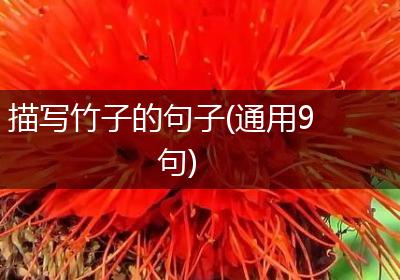 描写竹子的句子(通用9句)