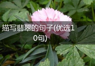 描写翡翠的句子(优选10句)