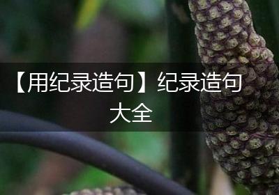 【用纪录造句】纪录造句大全