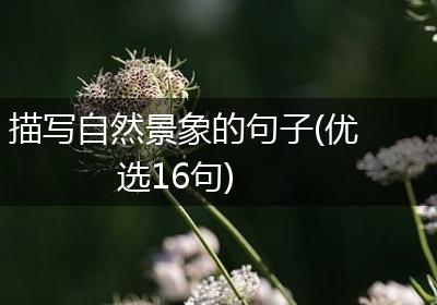 描写自然景象的句子(优选16句)