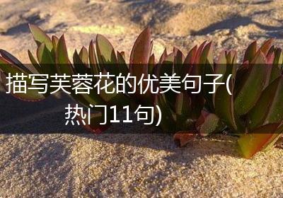 描写芙蓉花的优美句子(热门11句)
