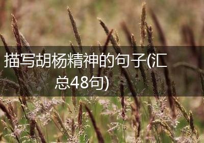描写胡杨精神的句子(汇总48句)